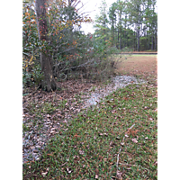 Chesapeake King Tide image